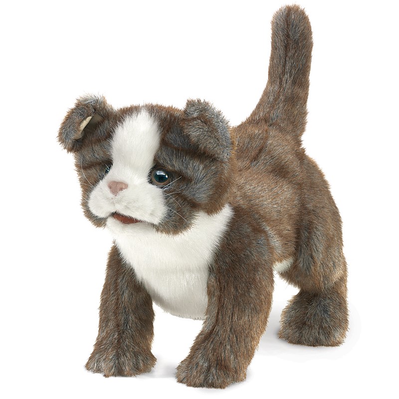 Scottish Fold Kitten Hand Puppet Folkmanis