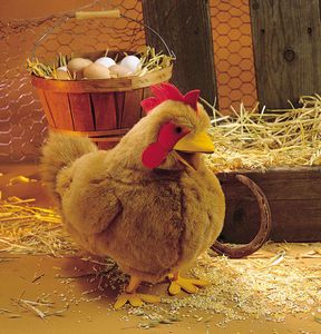 Folkmanis Chicken Puppet