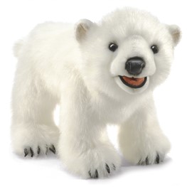 Bear, Polar Cub