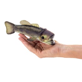 Mini Bass, Largemouth