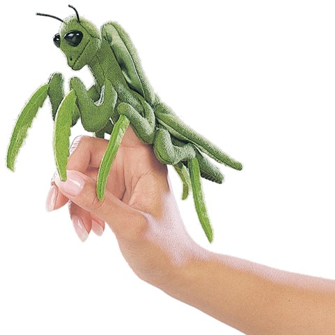 Mini Praying Mantis  |  Folkmanis