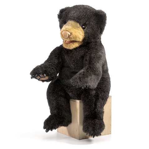 Black Bear Cub  |  Folkmanis