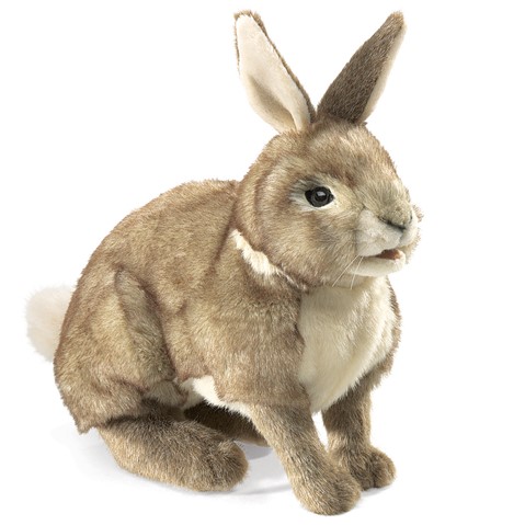 Cottontail Rabbit  |  Folkmanis