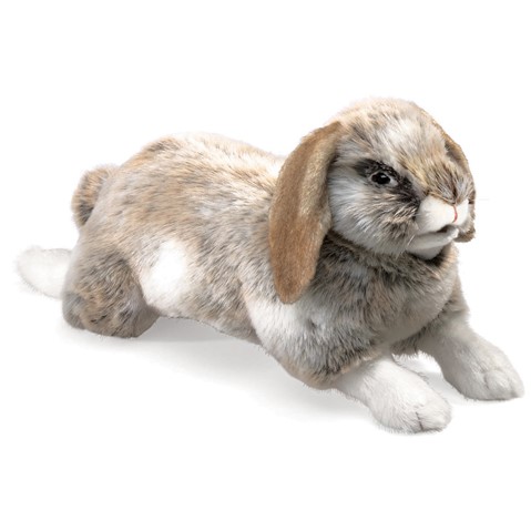 Holland Lop Rabbit  |  Folkmanis