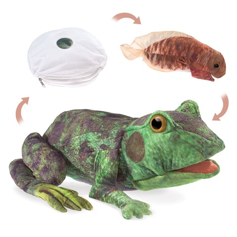 Frog Life Cycle Hand Puppet  |  Folkmanis