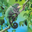 Folkmanis Chameleon 2215 View 2