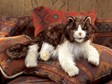 Folkmanis Cat, Ragdoll 2558 View 2