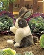 Folkmanis Rabbit, Baby Dutch 2571 View 2