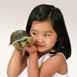 Folkmanis Mini Turtle 2732 View 2
