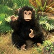 Folkmanis Chimpanzee, Baby 2877 View 2