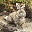 Folkmanis Rabbit, Cottontail 2891 View 2