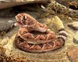 Folkmanis Rattlesnake 2893 View 2