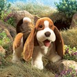 Folkmanis Hound, Basset 2919 View 2