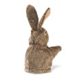 Folkmanis Little Hare 2931 View 2