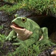 Folkmanis Toad 3099 View 2