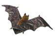 Folkmanis Bat, Fruit 3191 View 2