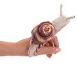 Folkmanis Mini Snail 8003 View 2