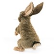 Folkmanis Rabbit, Jack 3200 View 2