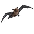 Folkmanis Mini Bat 8009 View 2