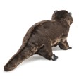 Folkmanis Otter, River 2266 View 3
