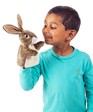 Folkmanis Little Hare 2931 View 3