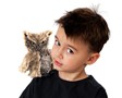 Folkmanis Owl, Screech 2961 View 3