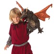 Folkmanis Dragon, Black 3069 View 3