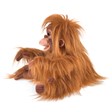 Folkmanis Orangutan, Baby 3106 View 3