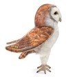 Folkmanis Owl, Barn 3124 View 3