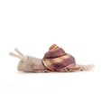 Folkmanis Mini Snail 8003 View 3