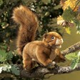 Folkmanis Squirrel, Red 2880 View 4