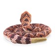 Folkmanis Rattlesnake 2893 View 4