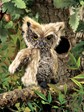 Folkmanis Owl, Screech 2961 View 4