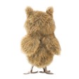 Folkmanis Mini Owl, Great Horned 2752 View 3