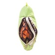 Folkmanis Monarch Life Cycle 3073 View 4