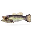 Folkmanis Mini Bass, Largemouth 8008 View 4