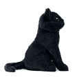 Folkmanis Mini Cat, Black 8004 View 4