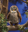 Folkmanis Owl, Hooting 3135 View 5