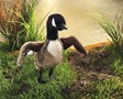 Folkmanis Goose, Canada 3157 View 5
