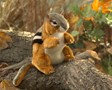 Folkmanis Chipmunk 3183 View 4
