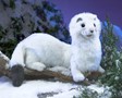 Folkmanis Ermine 3192 View 5