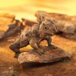 Folkmanis Lizard, Horned 3225 View 5