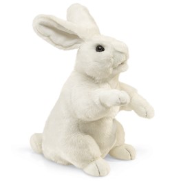 Rabbit, Standing White