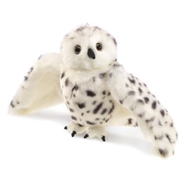 Owl, Snowy