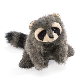 Raccoon, Baby