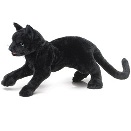 Cat, Black
