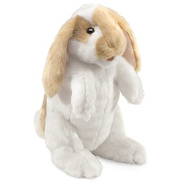 Rabbit, Standing Lop