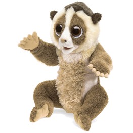 Loris, Slow