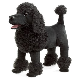 Poodle