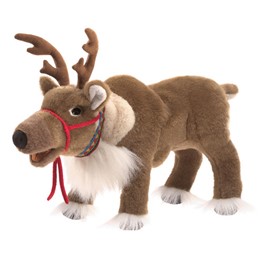 Reindeer